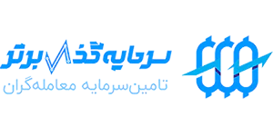 سرمایه‌گذار برتر